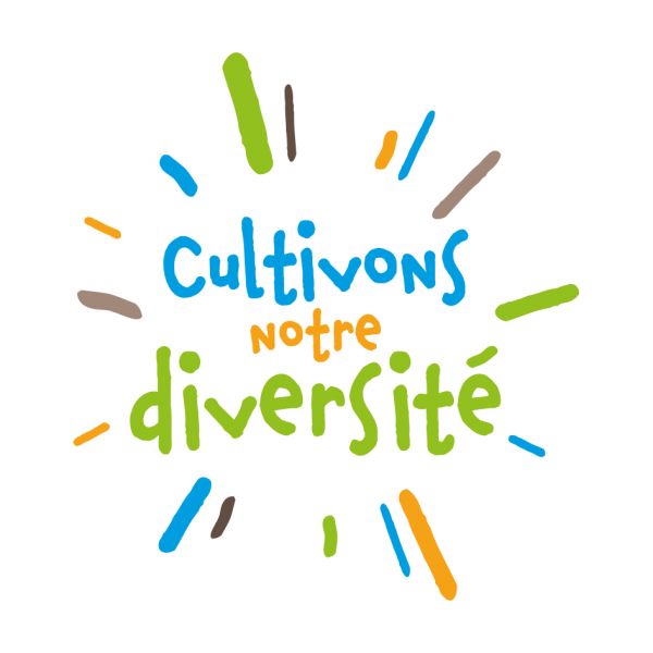 Logo-Diversite.jpg